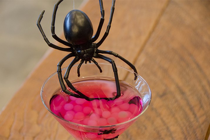 Martini glass filled with a raspberry lemon drop and boba as spider eggs.
