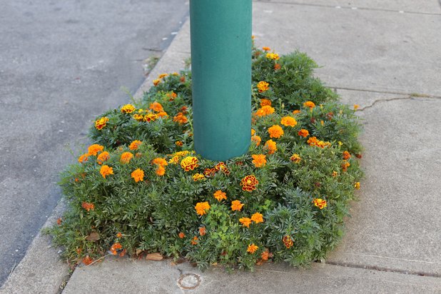 Landscaping Ideas for Around a Flagpole (with Pictures) | eHow